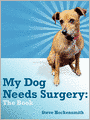 My Dog Needs Surgery: Stories, Essays and a Copyright Page