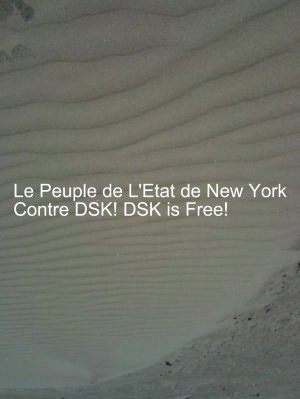 Le Peuple de LEtat de New York Contre Dominique Strauss-Khan: New York State vs. Dominique Straus-Khan - The Ultimate Unauthorized Guide to DSK's Trial Proceedings