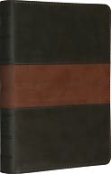 ESV Personal Sized Reference Bible Forest/Tan Trail Design