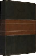 ESV Study Bible (Trutone, Forest/Tan, Trail Design) by Crossway Bibles: Book Cover