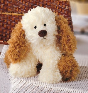 Yardley Jr. Dog