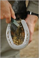 Essential Guide to Horse Hoof Care