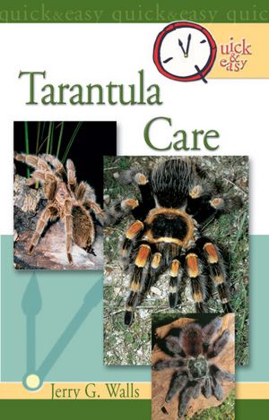 Quick & Easy Tarantula Care
