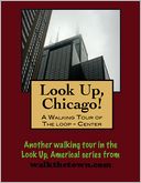 A Walking Tour of Chicago - The Loop (Center)