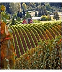 Destination Wine Country: Experience True Beauty