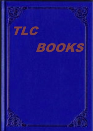THE SEARCH (A CHRISTIAN NOVEL)