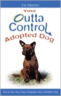 Your Outta Control Adopted Dog