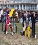 Dog Training Guide : Secret Training for Your Best Friend