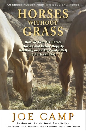 HORSES WITHOUT GRASS - How We Kept Six Horses Moving and eating Happily Healthily on an Acre and a Half of Rock and Dirt: Another eBook Nugget from The Soul of a Horse