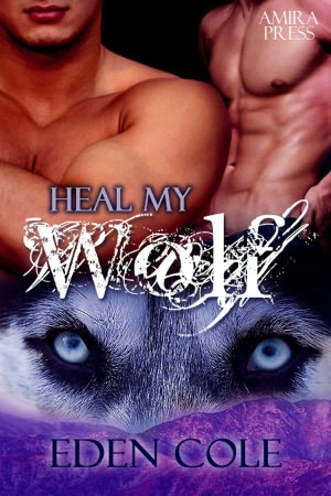 Heal My Wolf [Gay M/M Shifter Erotic Romance]