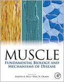 Muscle: Fundamental Biology and Mechanisms of Disease