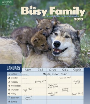 2012 Busy Family Wall Calendar