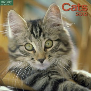 2012 Cats Wall Calendar