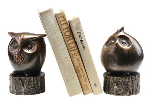 Wide-Eyed Owl Bookends