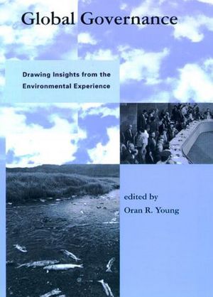 Global Governance: Drawing Insights from the Environmental Experience