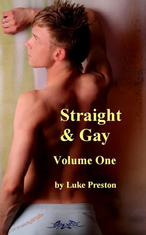 Straight and Gay: A Collection of Gay Erotica, Gay Love Stories, and Gay Sex Stories Between Straight and Gay Men, Volume One