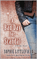 A Bad Day for Scandal (Stella Hardesty Series #3)