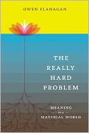 The Really Hard Problem: Meaning in a Material World