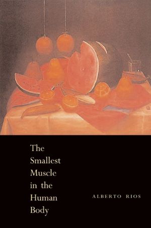 The Smallest Muscle in the Human Body