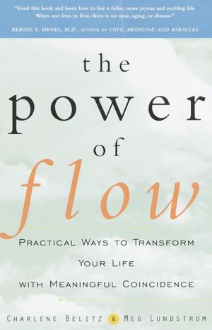 The Power of Flow: Practical Ways to Transform Your Life with Meaningful Coincidence