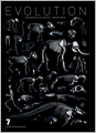 Evolution