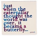 Magnet - Just When The Caterpillar Thought The World Was Over, It Became A Butterfly by Quotable Cards: Product Image