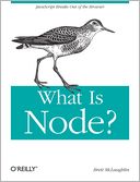 What Is Node?