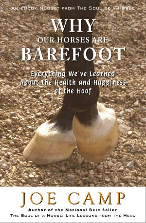 WHY OUR HORSES ARE BAREFOOT - Everything We've Learned About the Health and Happiness of the Hoof: Another eBook Nugget from The Soul of a Horse