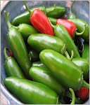 download A Crash Course on How to Grow Jalapenos book