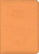 Biblia Reina Valera 1960: Cantos plateados cintas y ayudas de Referencias