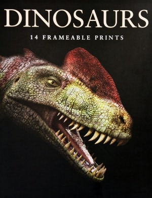 Dinosaur Poster Book