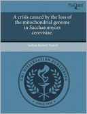 A crisis caused by the loss of the mitochondrial genome in Saccharomyces cerevisiae.