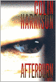 Afterburn: A Novel