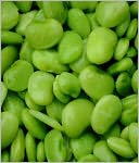 download A Crash Course on How to Grow Lima Beans book