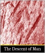 The Descent of Man