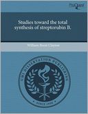 Studies Toward The Total Synthesis Of Streptorubin B.