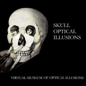 Skull Optical Illusions