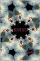 Bunheads
