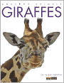Amazing Animals: Giraffes