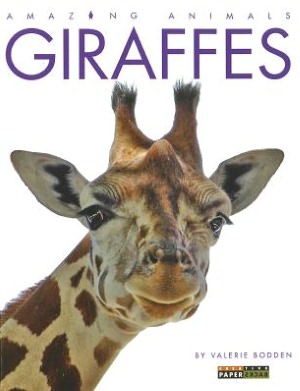 Amazing Animals: Giraffes