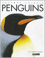 Amazing Animals: Penguins