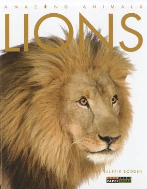 Amazing Animals: Lions