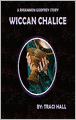 Wiccan Chalice