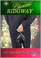 Not Another New Year's (Holiday Duet Book 2)