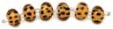Blue Moon Art Glass Beads-12mm Animal Print Rounds 6/Pkg by Blue Moon Beads: Product Image