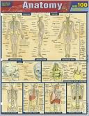 Anatomy Quizzer