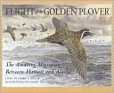 Flight of the Golden Plover: The Amazing Migration Between Hawaii and Alaska