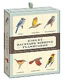 Sibley Backyard Birding Flashcards: 100 Common Birds of Eastern and Western North America