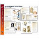 Frank H. Netter Musculoskeletal Disorders: European Netter Poster Series