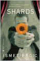 Shards